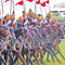 61 Cavalry