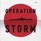 Operation Storm